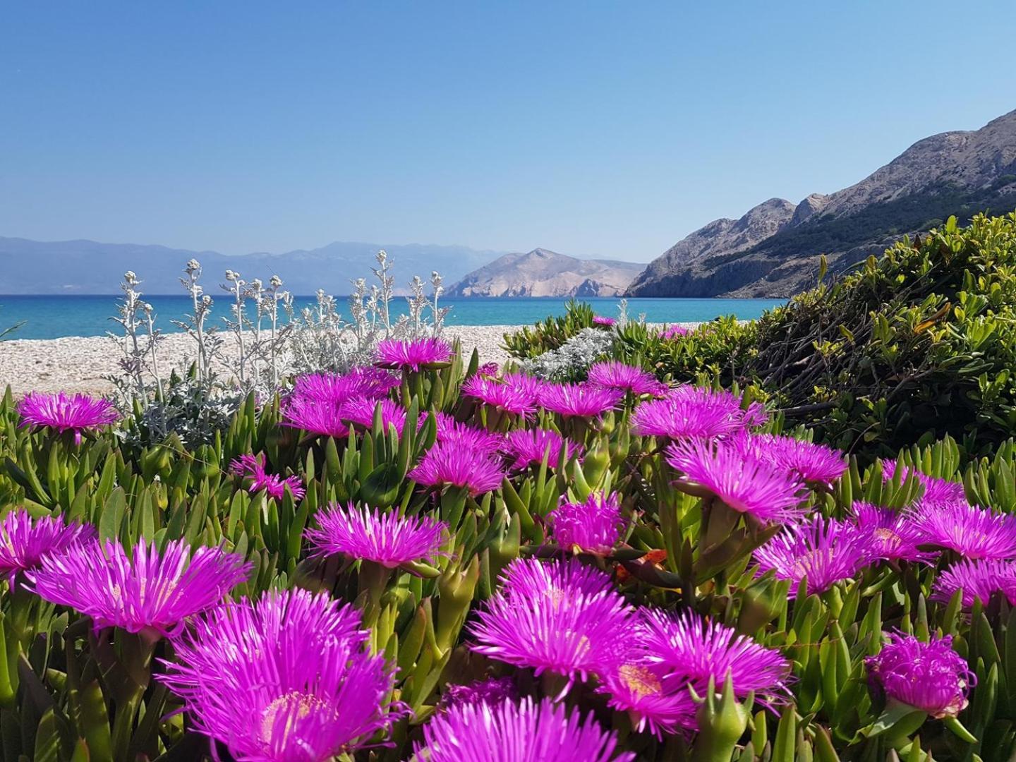 Apartments Kucar Baška Kültér fotó